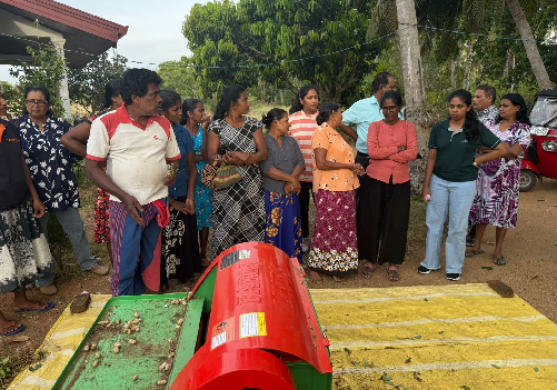 Photo 118: The SAPP NSC members made a supervision visit to Moragolla, Galewela Groundnut farmers on 11 Sep 2025